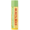 BURT'S BEES Lip Balm - Cucumber Mint