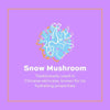 REVOLUTION SKINCARE Snow Mushroom Serum