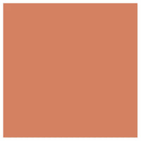 L'OREAL Colour Riche Lip Colour - Nude #235