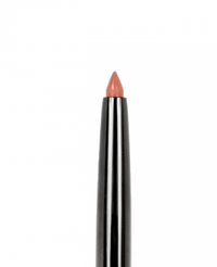 WET N WILD Perfect Pout Gel Lip Liner - Think Flamingos